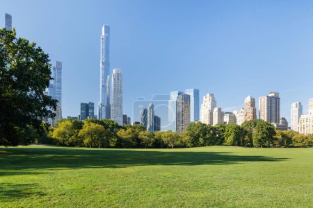 Téléchargez les photos : Gratte-ciel de Manhattan et prairie de Central Park - en image libre de droit