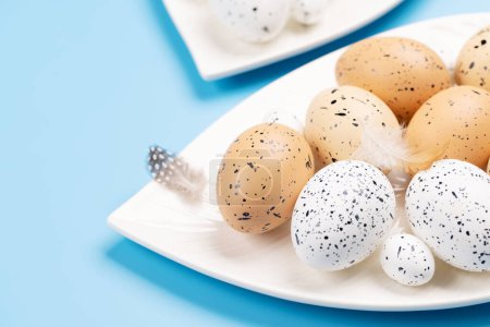 Photo for Easter eggs on plate over blue background. Chicken and quail eggs. With copy space - Royalty Free Image