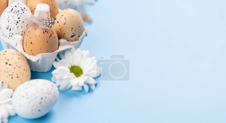 Foto de Huevos de Pascua y flores sobre fondo azul con espacio para tus saludos - Imagen libre de derechos