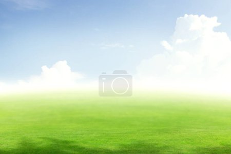 Téléchargez les photos : Paysage estival verdoyant avec champ et ciel avec nuages - en image libre de droit