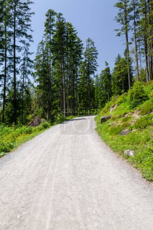 Foto de Vista panorámica de la carretera de campo en los Alpes en Suiza - Imagen libre de derechos