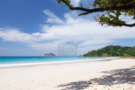Photo for Tropical beach with palm trees and turquoise sea - Royalty Free Image