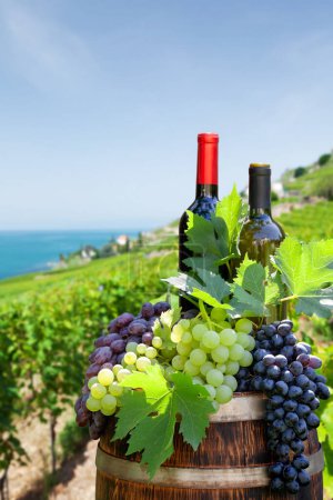Téléchargez les photos : Bouteilles de vin rouge et blanc et raisins sur tonneau de vin en face du paysage du vignoble. Journée ensoleillée près du lac Léman - en image libre de droit
