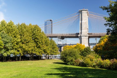 Foto de Puente de Brooklyn, puente de Manhattan y prado verde en Brooklyn, Nueva York - Imagen libre de derechos