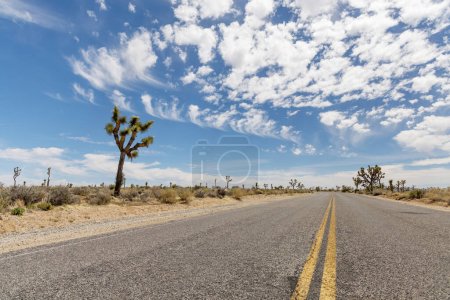 Photo for A breathtaking photo of Joshua Tree National Park, showcasing the unique landscape and beauty of the Mojave Desert - Royalty Free Image