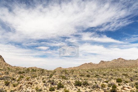 Téléchargez les photos : Une photo à couper le souffle du parc national Joshua Tree, mettant en valeur le paysage unique et la beauté du désert de Mojave - en image libre de droit
