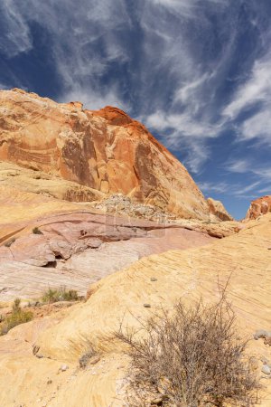 Photo for Stunning Valley of Fire State Park landscape in California, USA - Royalty Free Image