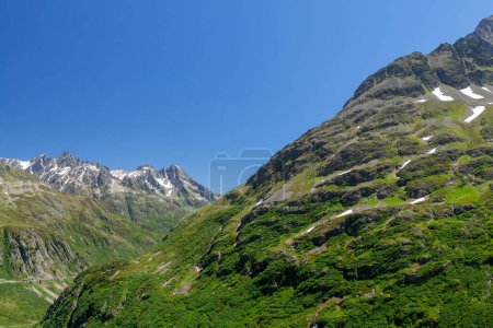 Téléchargez les photos : Vue panoramique des prairies verdoyantes alpines et des Alpes enneigées en Suisse - en image libre de droit