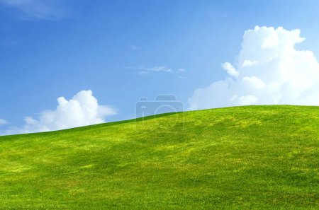 Foto de Un pintoresco paisaje de verano con un exuberante campo de hierba verde que se extiende bajo un cielo azul con nubes esponjosas - Imagen libre de derechos