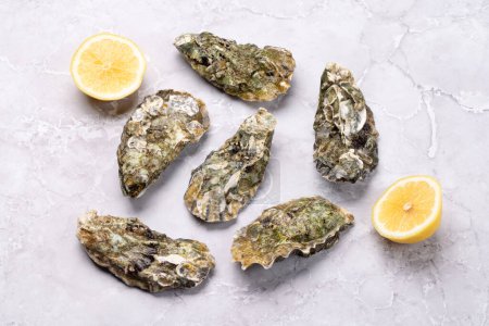Photo for Fresh oysters and lemons. Flat lay - Royalty Free Image