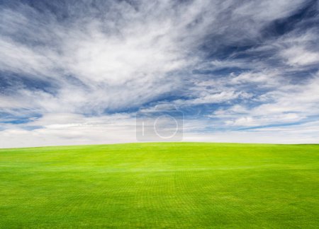 Téléchargez les photos : Un paysage estival pittoresque avec un champ d'herbe verte luxuriante s'étendant sous un ciel bleu avec des nuages pittoresques - en image libre de droit