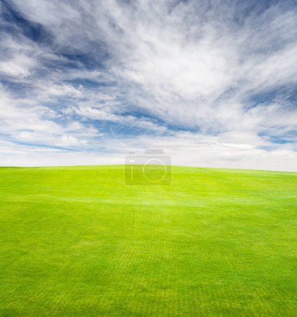 Téléchargez les photos : Un paysage estival pittoresque avec un champ d'herbe verte luxuriante s'étendant sous un ciel bleu avec des nuages pittoresques - en image libre de droit