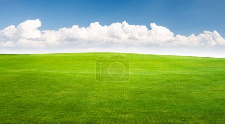 Foto de Un pintoresco paisaje de verano con un exuberante campo de hierba verde que se extiende bajo un cielo azul con nubes escénicas - Imagen libre de derechos