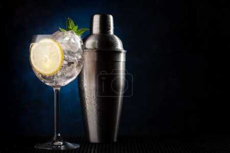 Photo for Cocktail shaker and gin tonic cocktail on dark background with copy space - Royalty Free Image