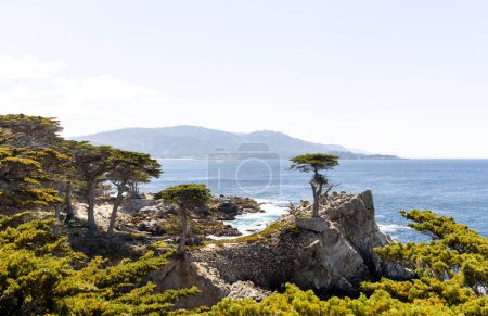 Téléchargez les photos : Un paysage côtier captivant mettant en vedette l'océan majestueux et les sapins imposants le long de la pittoresque promenade 17-Mile en Californie - en image libre de droit