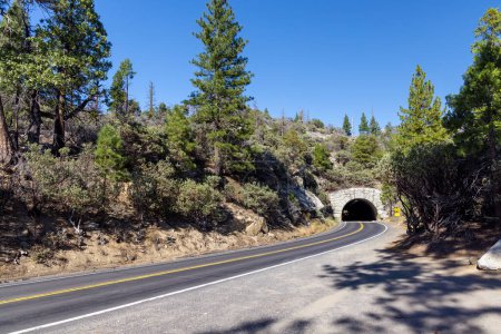 Téléchargez les photos : Courbe d'asphalte route à travers forêt et tunnel - en image libre de droit
