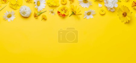 Téléchargez les photos : Fleurs assorties sur fond jaune, un affichage vibrant avec espace pour le texte. Pose plate - en image libre de droit