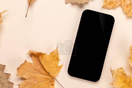 Téléchargez les photos : Smartphone avec écran blanc sur une table entourée de feuilles de nature d'automne, maquette design parfaite - en image libre de droit