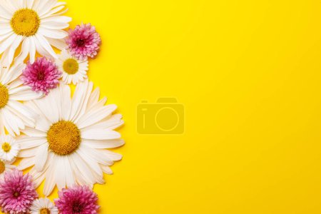Téléchargez les photos : Des fleurs de jardin assorties fleurissent sur fond jaune avec de l'espace pour le texte. Pose plate - en image libre de droit