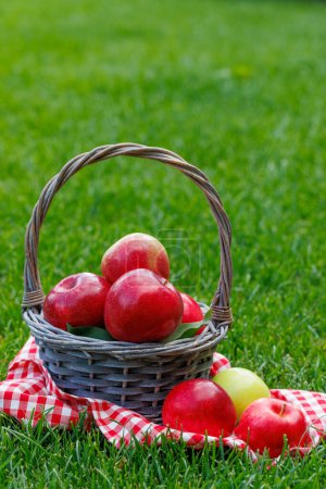 Photo for Basket with fresh red apples on the green lawn - Royalty Free Image