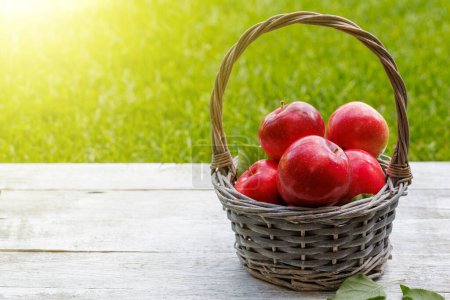Photo for Basket with fresh red apples on the garden table with copy space - Royalty Free Image