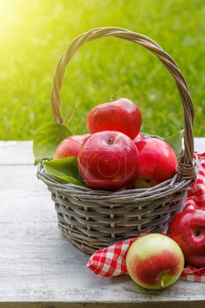 Photo for Basket with fresh red apples on the garden table - Royalty Free Image