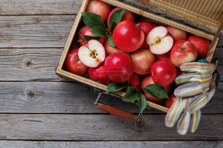 Photo for Wooden box with fresh red apples on wood table. Flat lay with copy space - Royalty Free Image