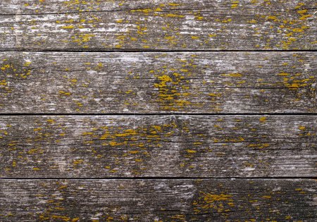 Photo for Weathered wood texture with vintage charm - Royalty Free Image