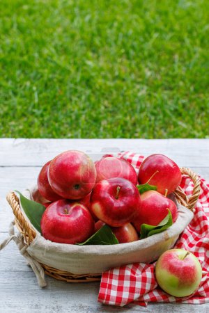 Téléchargez les photos : Panier avec pommes rouges fraîches sur la table de jardin avec espace de copie - en image libre de droit