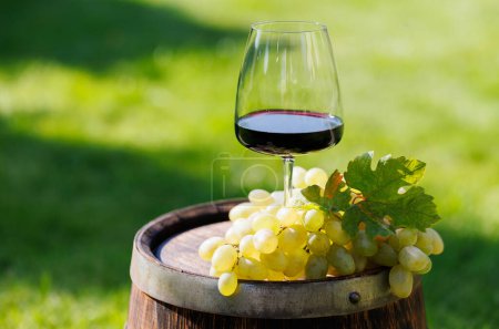 Foto de Copa de vino tinto y uva en barrica al aire libre con espacio para copiar - Imagen libre de derechos