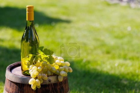 Téléchargez les photos : Bouteille de vin et raisin sur tonneau à l'extérieur avec espace de copie - en image libre de droit