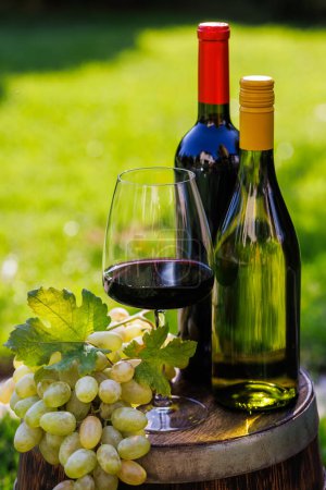 Téléchargez les photos : Bouteilles de vin et raisin en barrique à l'extérieur avec espace de copie - en image libre de droit