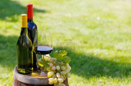 Téléchargez les photos : Bouteilles de vin et raisin en barrique à l'extérieur avec espace de copie - en image libre de droit