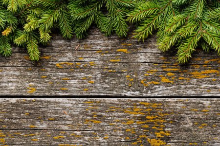 Photo for Christmas fir tree branch frame over wood with space for greetings text. Flat lay - Royalty Free Image