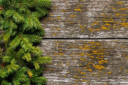 Photo for Christmas fir tree branch frame over wood with space for greetings text. Flat lay - Royalty Free Image