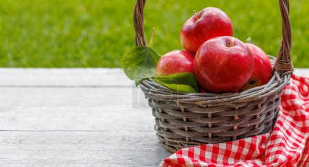 Photo for Basket with fresh red apples on the garden table with copy space - Royalty Free Image