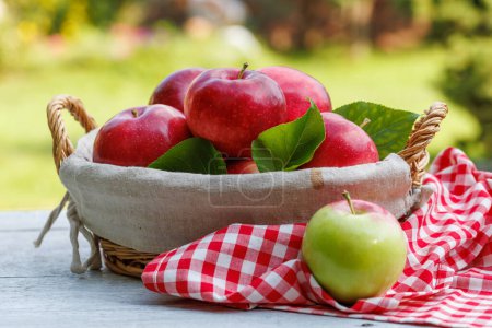 Photo for Basket with fresh red apples on the garden table - Royalty Free Image