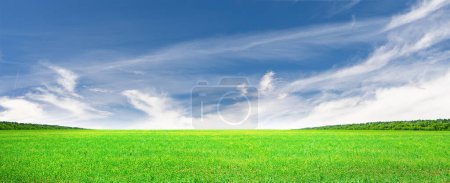 Foto de Amplio paisaje de verano con prado floreciente y cielo escénico, amplio abrazo de la naturaleza - Imagen libre de derechos