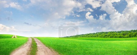 Foto de Amplio paisaje de verano con prado floreciente, carretera y cielo escénico, amplio abrazo de la naturaleza - Imagen libre de derechos