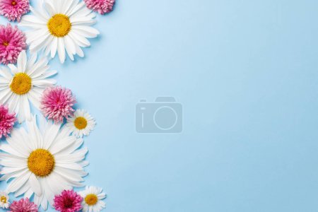 Téléchargez les photos : Des fleurs de jardin assorties fleurissent sur fond bleu avec de l'espace pour le texte. Pose plate - en image libre de droit