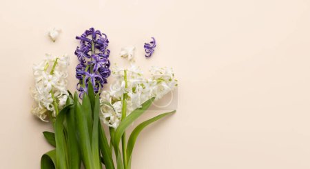 Téléchargez les photos : Vue d'en haut de fleurs de jacinthe couchées sur une table. Avec espace de copie - en image libre de droit