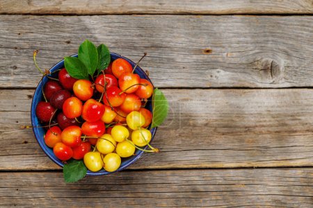 A vibrant and colorful cherry, bursting with sweet juiciness. On sunny outdoor garden table. Flat lay with copy space