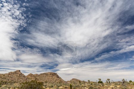 Téléchargez les photos : Une photo à couper le souffle du parc national Joshua Tree, mettant en valeur le paysage unique et la beauté du désert de Mojave - en image libre de droit