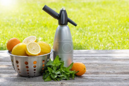 Refreshing homemade lemonade served on an outdoor garden table. Cold summer drink with fresh citrus fruit and garden mint