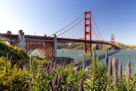 Foto de Golden gate bridge, san francisco, california - Imagen libre de derechos