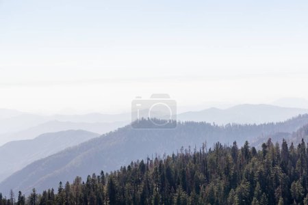 Téléchargez les photos : Paysage de montagne dans le parc national de Yosemite, Californie, États-Unis - en image libre de droit