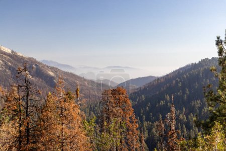 Photo for Mountain landscape in Yosemite National Park, California, USA - Royalty Free Image