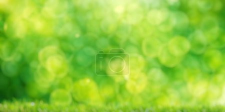 Foto de Fondo bokeh follaje verde soleado. Fondo de verano ideal - Imagen libre de derechos