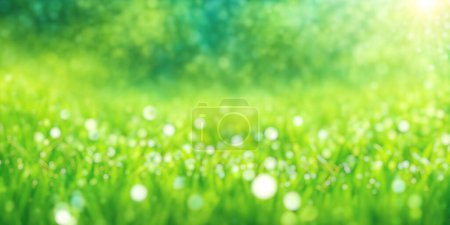 Téléchargez les photos : Feuillage vert ensoleillé fond bokeh avec herbe verte. Contexte idéal pour l'été - en image libre de droit