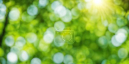 Téléchargez les photos : Feuillage vert ensoleillé fond bokeh. Contexte idéal pour l'été - en image libre de droit